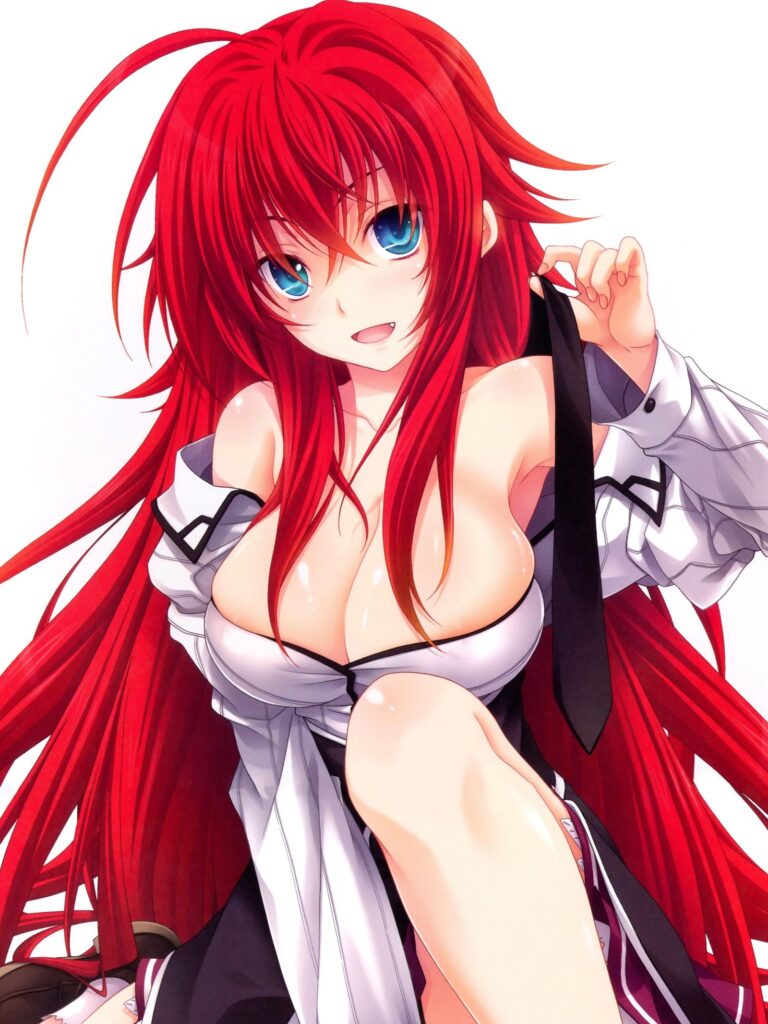 L&rsquo;auteur de High School DxD s&rsquo;est excusé pour la suspension de l&rsquo;œuvre
