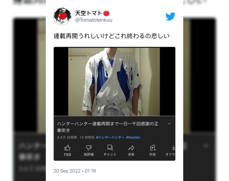Le retour possible de HUNTER x HUNTER a « attristé » un YouTuber populaire