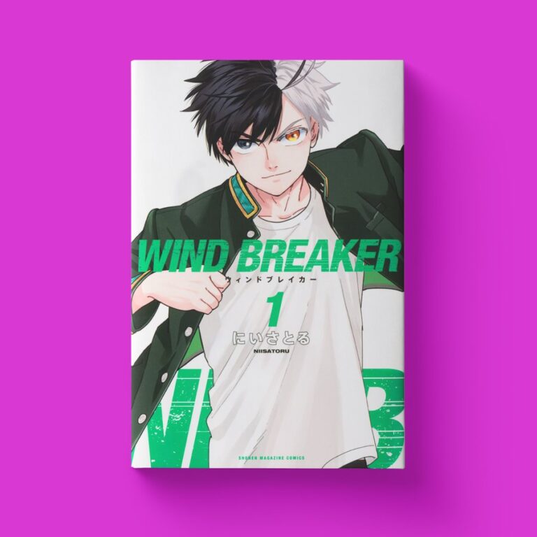WIND BREAKER par Nii Satoru sous licence Manga District