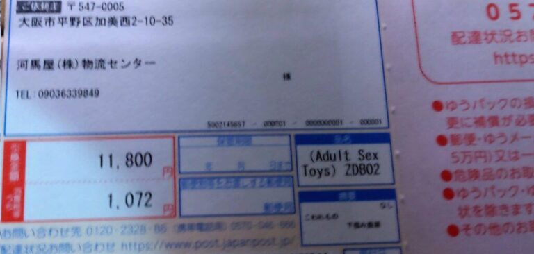 Les jouets pour adultes débarquent au Japon