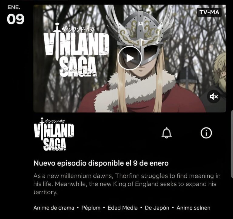 Netflix pourrait diffuser simultanément la 2e saison de Vinland Saga