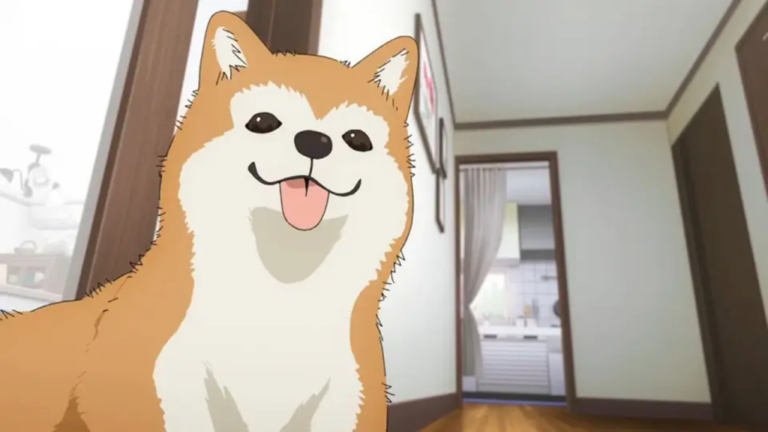 Ce sont les meilleures filles de Bocchi the Rock !   Kudasaï