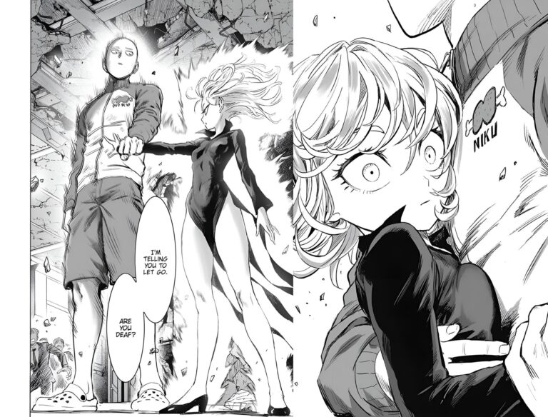 Les fans veulent voir un triangle amoureux dans One Punch Man