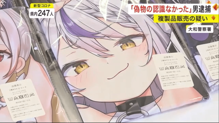 Un sujet a vendu des couvertures piratées pour dakimakura