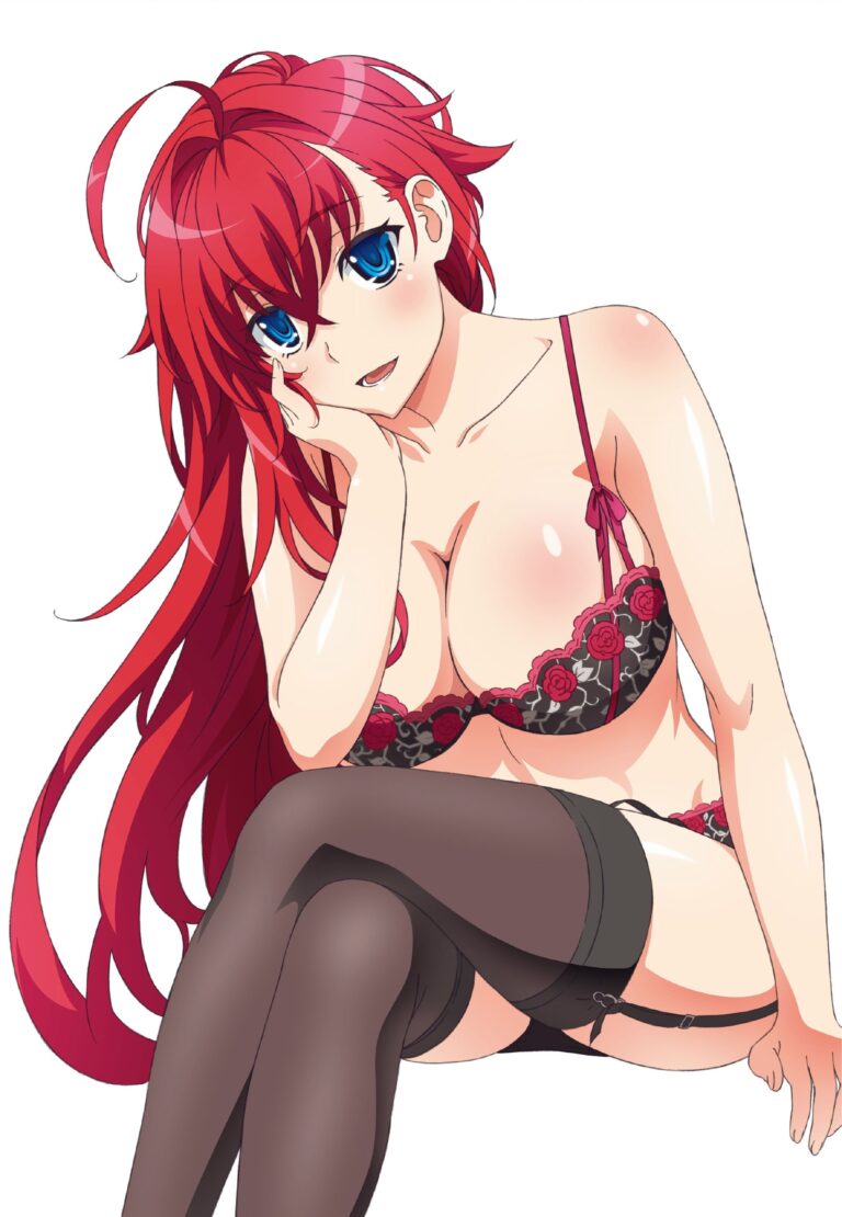High School DxD donne un indice sur son retour
