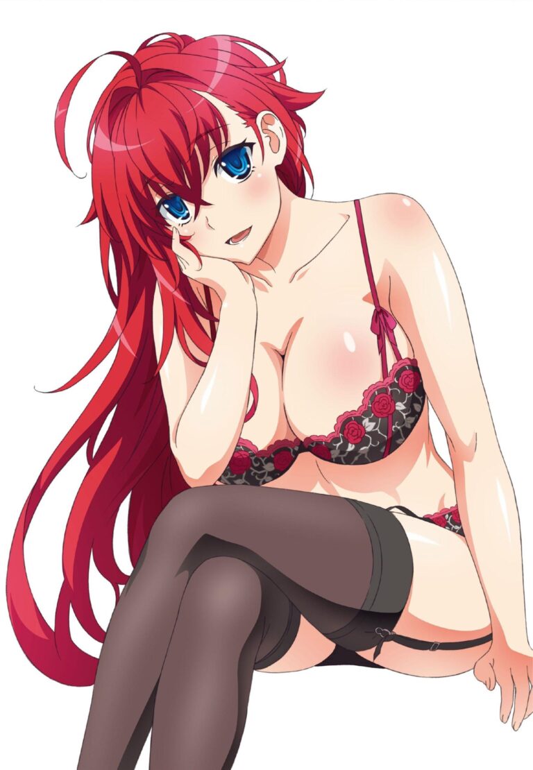 Il est de plus en plus possible que High School DxD revienne