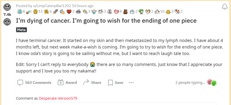 Un garçon atteint d&rsquo;un cancer en phase terminale veut connaître la fin de One Piece