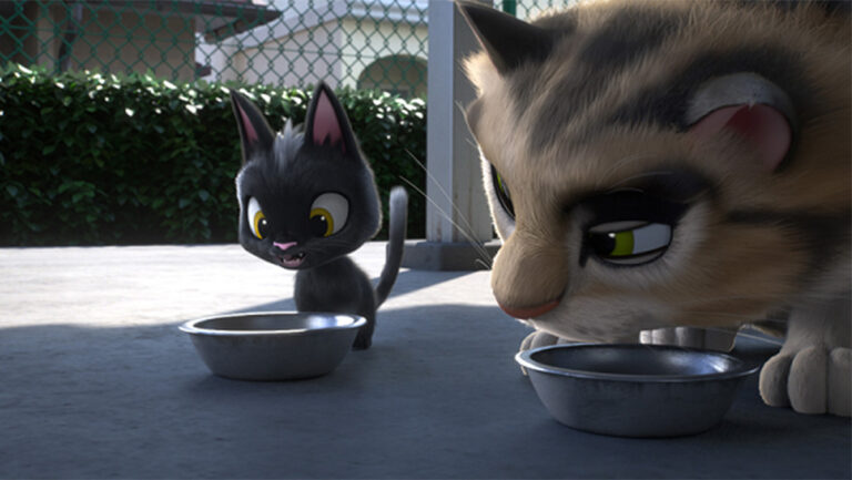 Ce soir dans Clan, Chats, Un voyage à la maison
