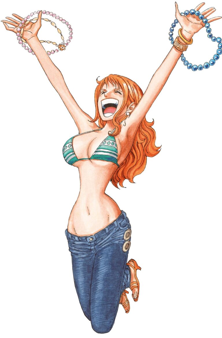 Quelle est la taille des seins de Nami ?  Kudasaï