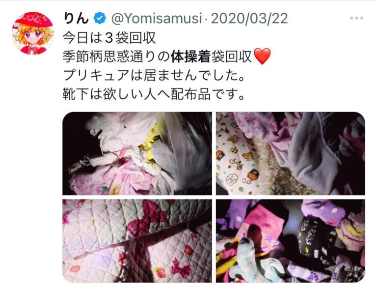 Un gars ramasse les sous-vêtements de Waifus dans la poubelle