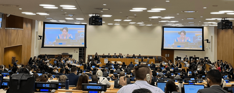 À l'ONU, on débat de la « légalisation » des lolis