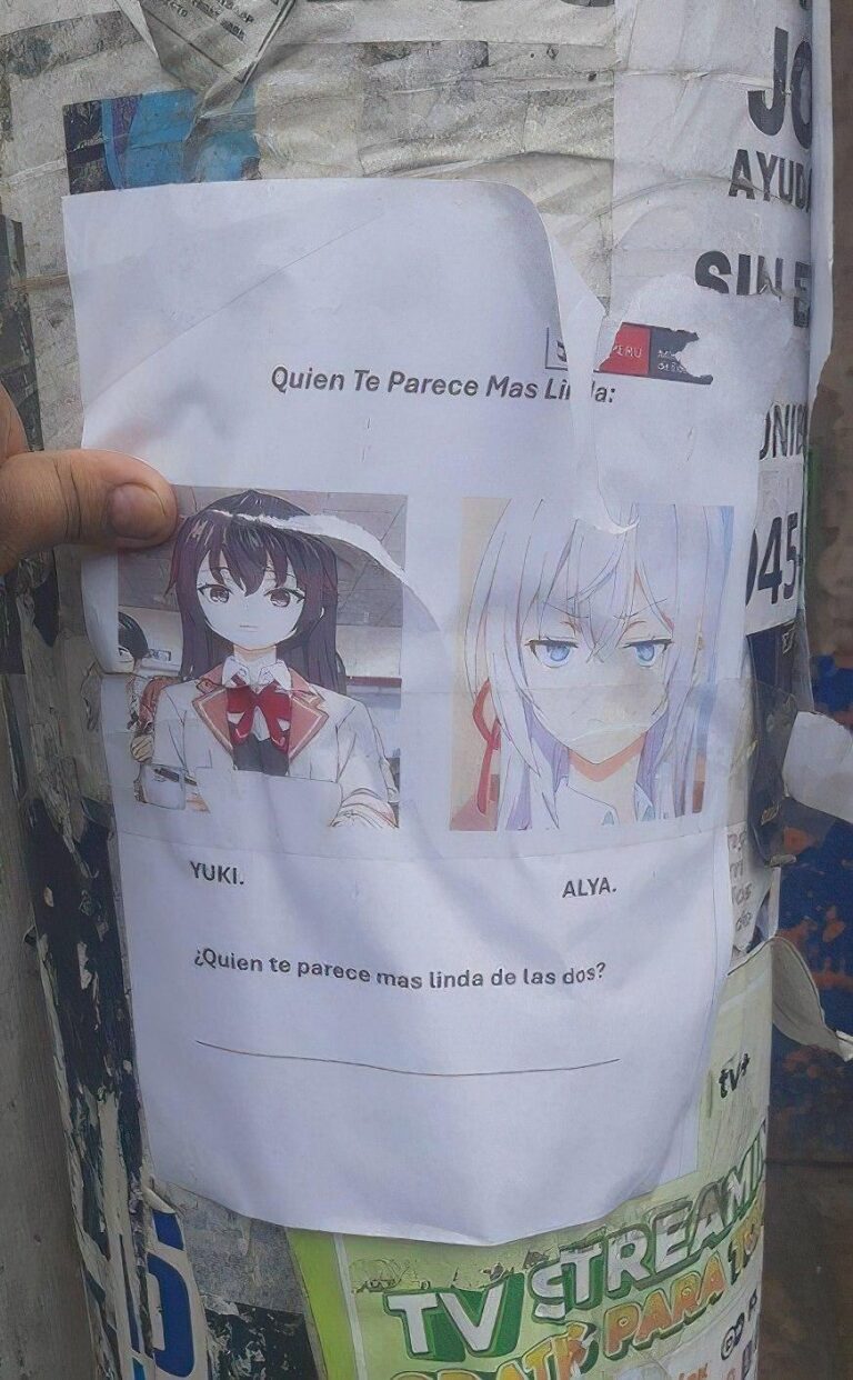 Au Pérou, on vous demande de voter pour Alya ou Yuki