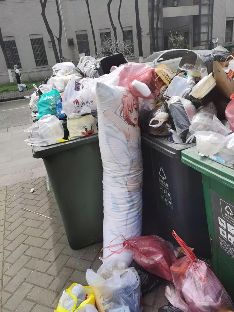 Ils trouvent Yui dans la poubelle –