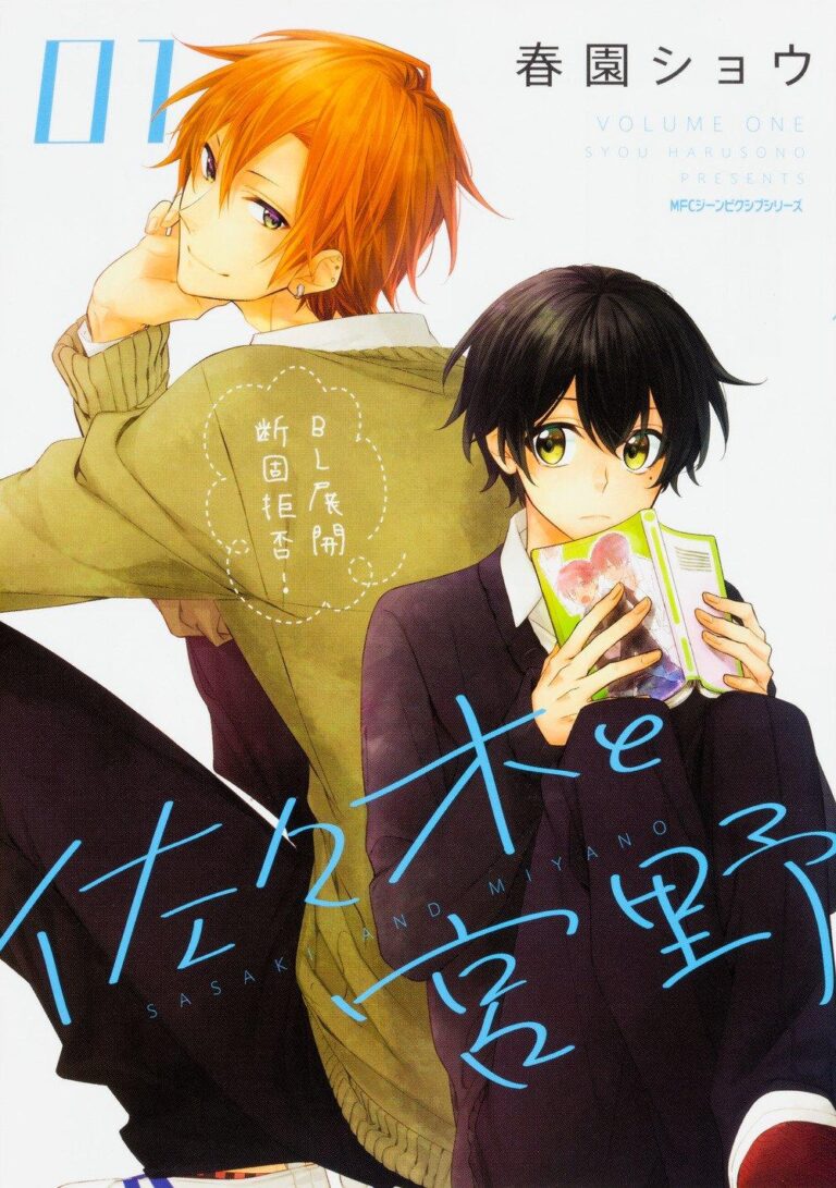 Les États-Unis interdisent un manga yaoi populaire –