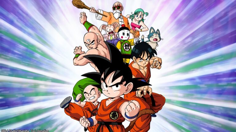 La saga du 22ème Tournoi d'Arts Martiaux est désormais disponible dans Anime Box