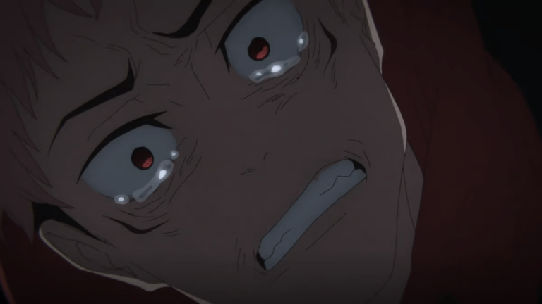 Les Otakus se désintéressent de l'anime –