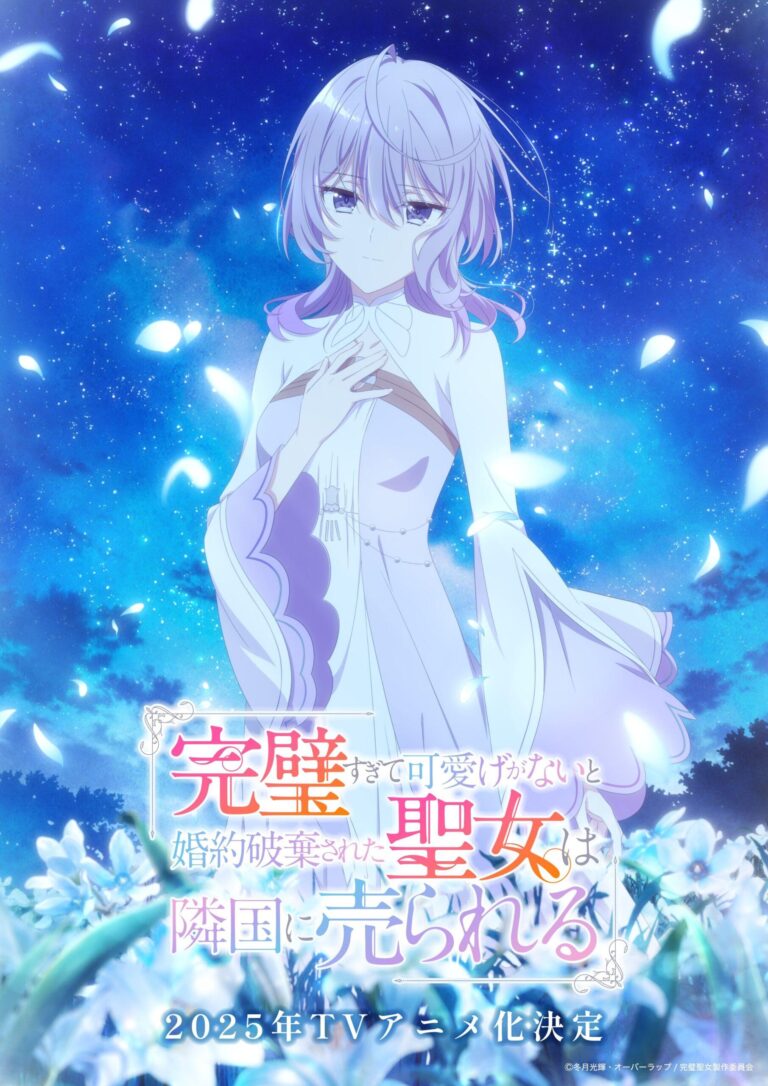 Les romans Too-Perfect Saint auront une adaptation en anime –