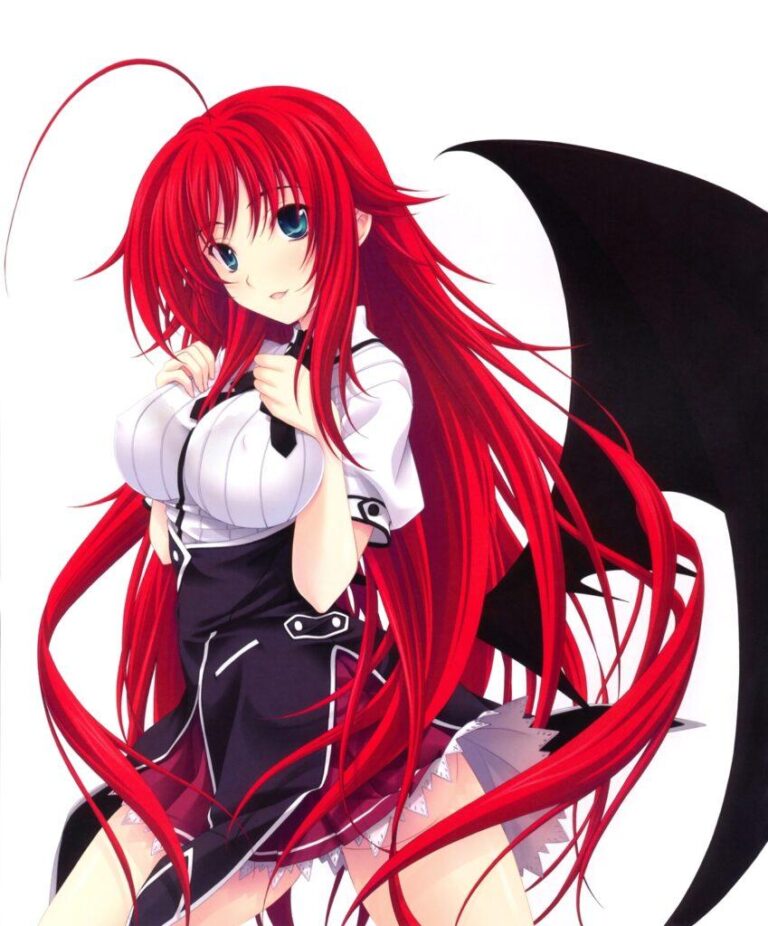 Le magazine High School DxD cessera de paraître
