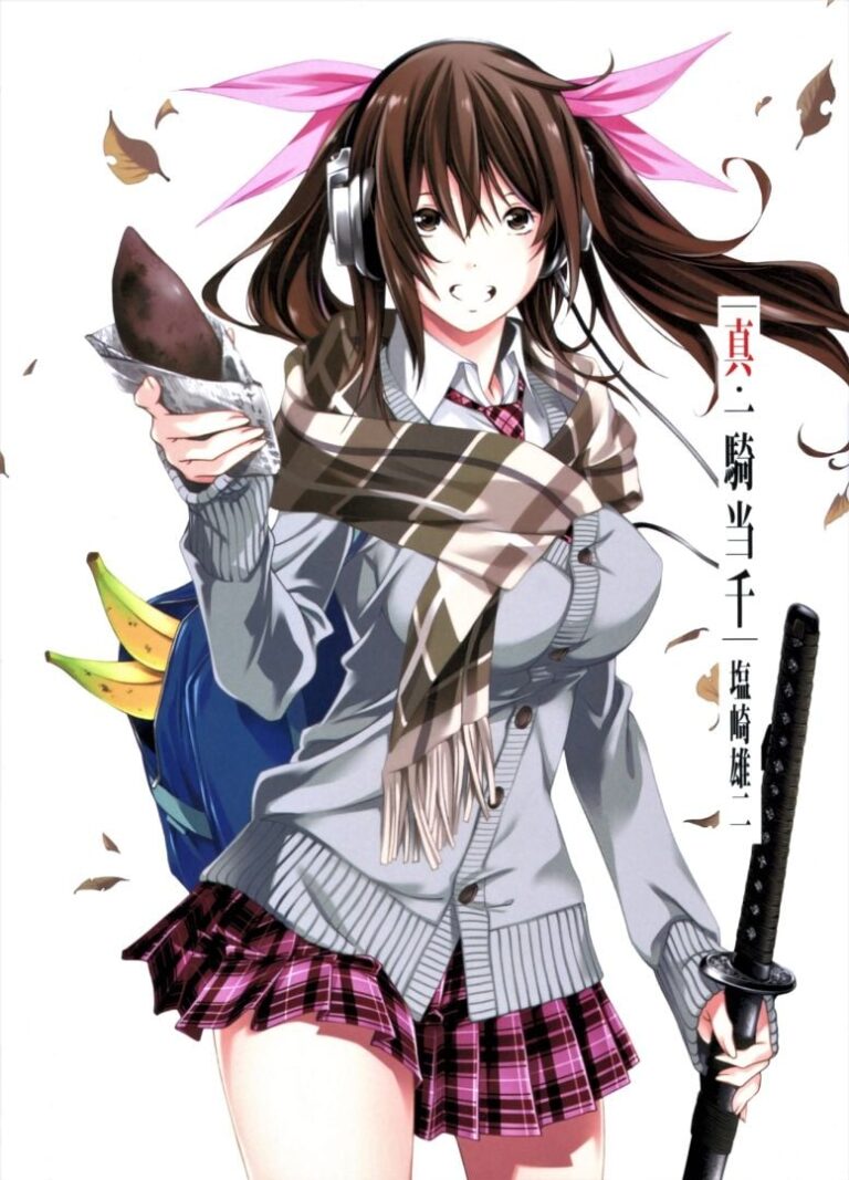 Shin Ikki Tousen reprend enfin ce mois-ci