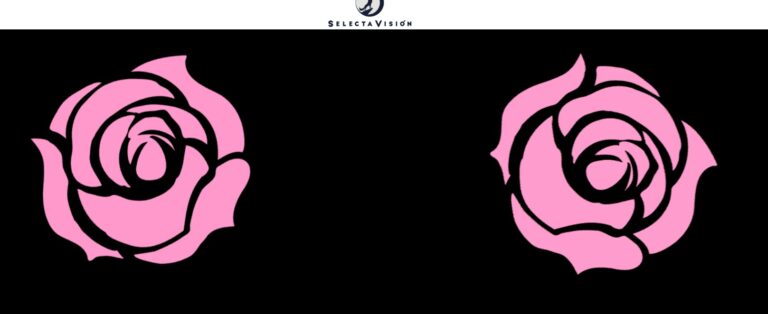 Selecta Vision Open Web Count pour la série Anime Utena