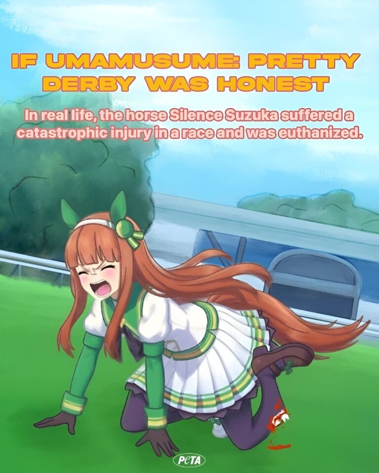 PETA met en colère les fans d'Umamusume avec une image controversée de Silence Suzuka
