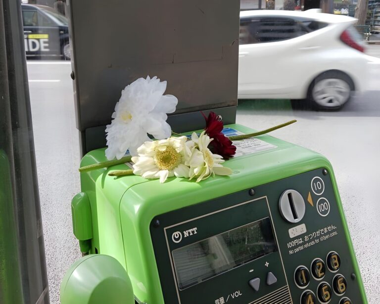 Désormais, les fans étrangers remplissent de fleurs une cabine téléphonique à Tokyo