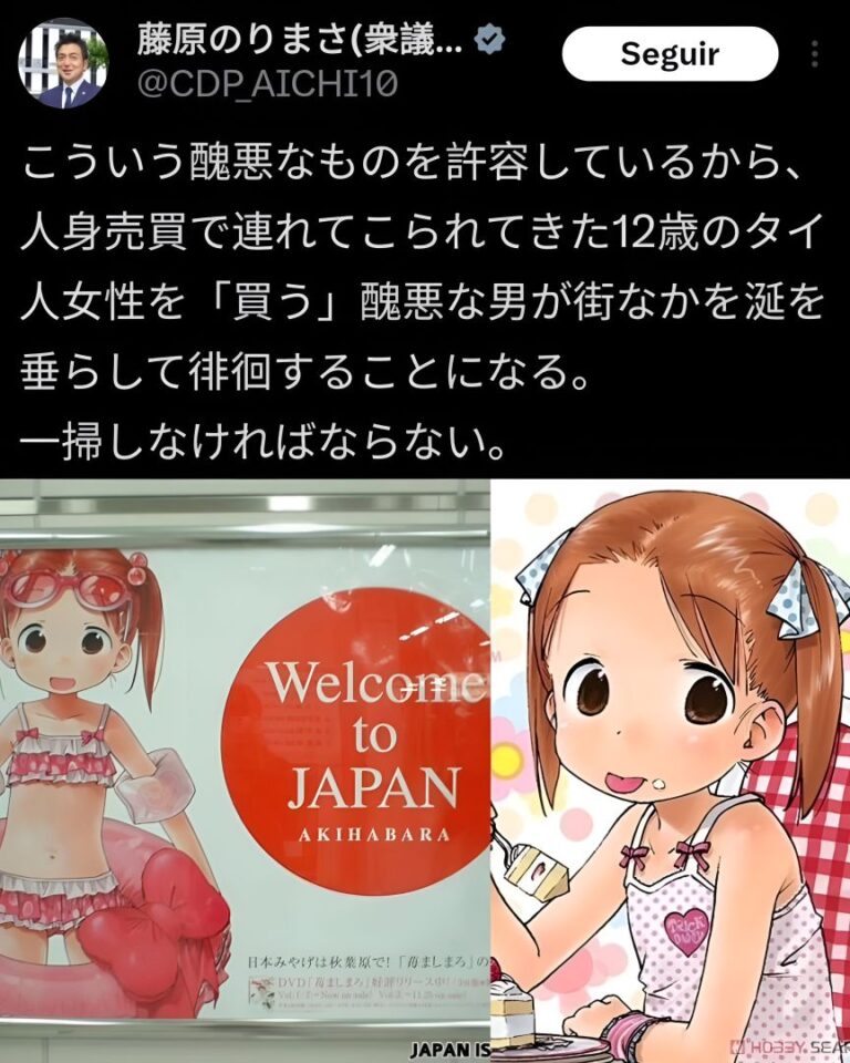 Un homme politique japonais attaque un anime et perd les élections