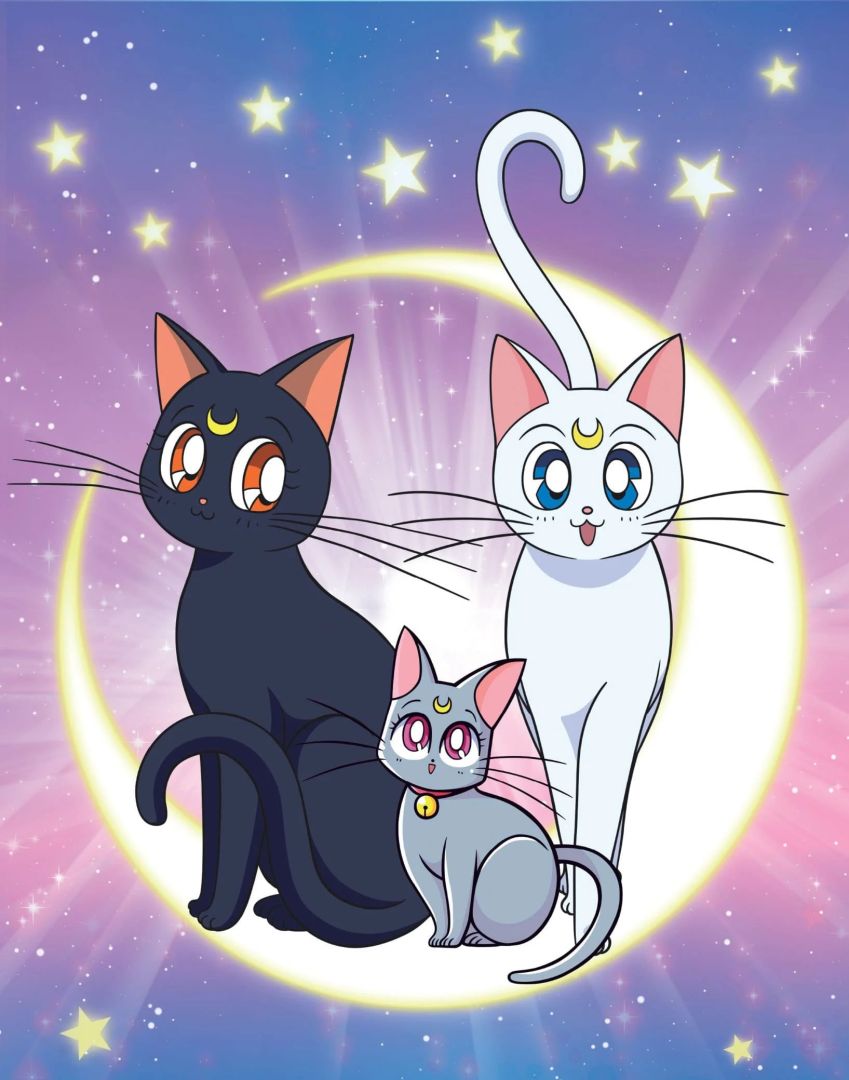 mceu-23078545811775329786633