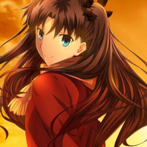 Top 5 des meilleurs waifus avec des nattes (queues jumelles) dans l'anime