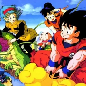 Toei Animation déclare qu'il n'y a pas de licence pour un parc à thème Dragon Ball en France