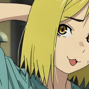 Achetez votre première cajetilla pour l'anime Yani Neko et en redes l'humillaron feo