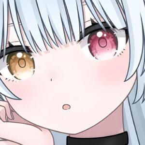 Un VTuber indépendant est polémique pour avoir une basse audience