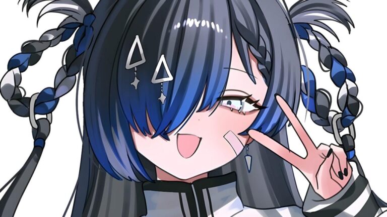 Una VTuber cherche un homme avec une liste de requis et reçoit des clients de DM